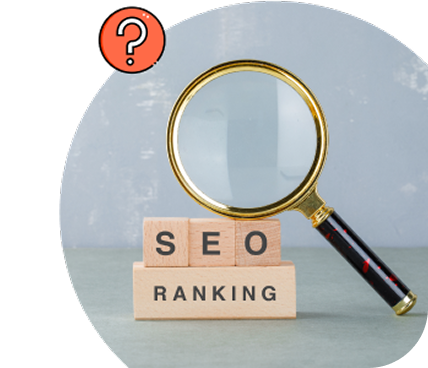 DataPulse SEO Dashboard